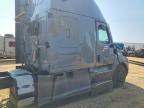 2023 Freightliner Cascadia 126