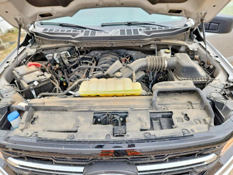 2025 Ford F150 XLT