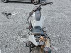 2025 Harley-Davidson RH1250 S