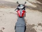 2025 Triumph Daytona 660