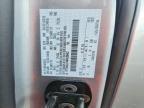 2024 Ford F150 STX
