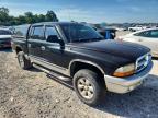 2004 Dodge Dakota Quad SLT