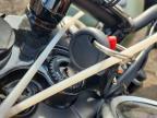 2024 Moto Guzzi V7 Stone