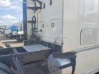 2019 Freightliner Cascadia 125 Semi Truck