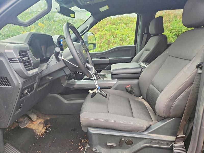 2025 Ford F150 XLT