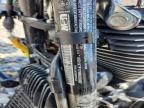 2021 Harley-Davidson Fltrxs