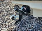 2001 Sea Ray SEA RAY 210BR