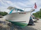 2006 Webc 2006 Zephyr Boat