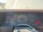 1986 Toyota Pickup 1/2 TON RN50