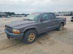 2003 Dodge Dakota Quad Sport