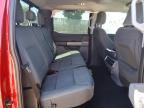 2024 Ford F150 XLT