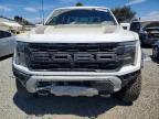 2025 Ford F150 Raptor