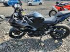 2024 Kawasaki EX500 H