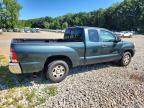 2010 Toyota Tacoma Base