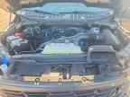 2025 Ford F150 STX