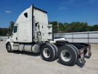 2019 Freightliner Cascadia 126