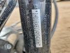2004 Harley-Davidson Flstfi