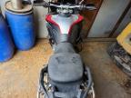 2024 Ducati Multistrada V4 Rally