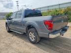 2025 Ford F150 XLT