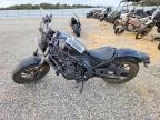 2024 Honda CMX500 A
