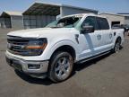 2025 Ford F150 XLT