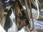 2004 Harley-Davidson Flstf