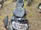 2026 Kawasaki ZX636 K