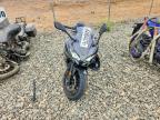 2026 Kawasaki EX650 R