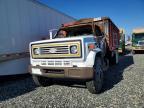 1981 Chevrolet C7 Grain Truck