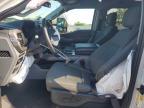 2024 Ford F150 XLT