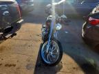 2007 Harley-Davidson Fxst Custom