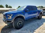 2017 Ford F150 Raptor