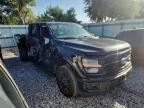 2024 Ford F150 XLT