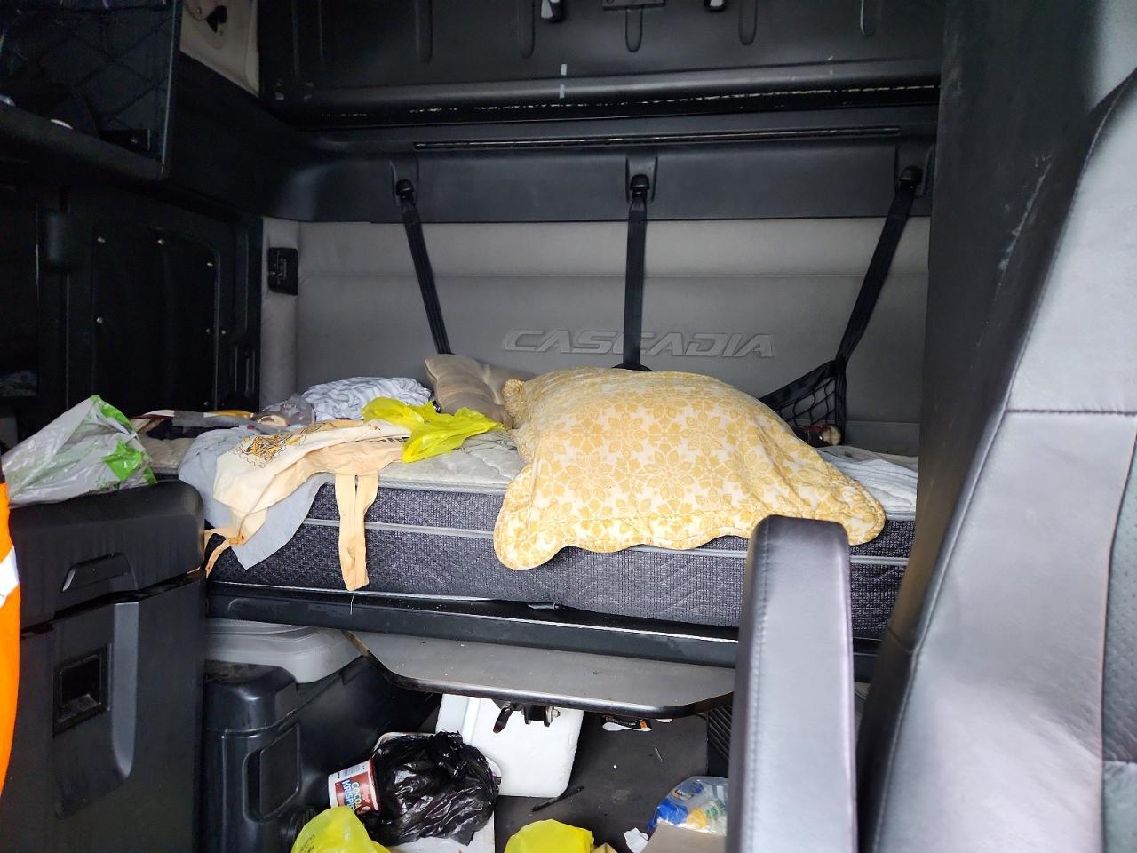 2019 Freightliner Cascadia 126 Semi Truck