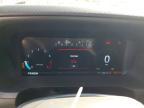 2025 Ford F150 XLT