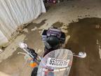 2005 Triumph America