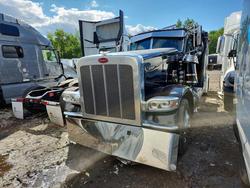 Salvage trucks for sale at Elgin, IL auction: 2024 Peterbilt 389 Semi Truck