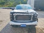 2025 GMC Sierra K1500 Elevation