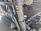 2024 Harley-Davidson Fltrxp