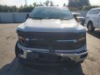 2024 Ford F150 XLT