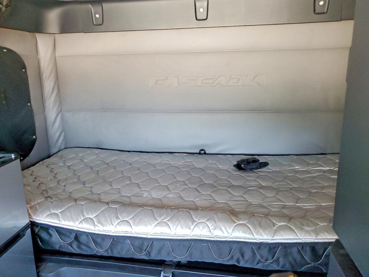 2019 Freightliner Cascadia 126