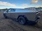2025 Tesla Cybertruck