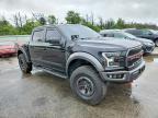 2017 Ford F150 Raptor