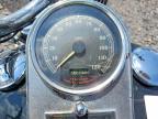 2003 Harley-Davidson Flstci Anniversary