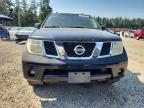 2005 Nissan Pathfinder xe