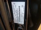 2025 Ford F150 XLT