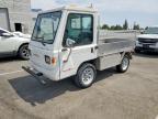 2020 Can-Am 2020 Canadian Electric Mini Truck