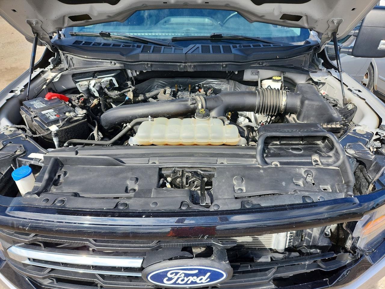 2024 Ford F150 XLT