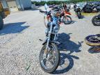 2005 Harley-Davidson XL1200 C