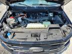 2025 Ford F150 XLT